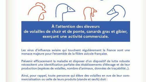 L'Influenza Aviaire