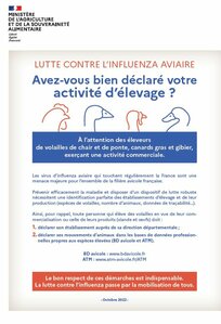 L'Influenza Aviaire